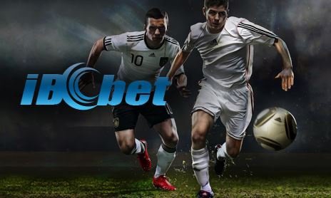 Panduan Lengkap Bermain di IBCBET: Login, Mobile, dan Link Alternatif